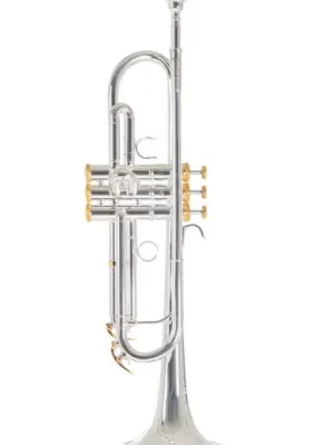 Bb-trumpeta Roy Benson Charli Green Signature Ověřený