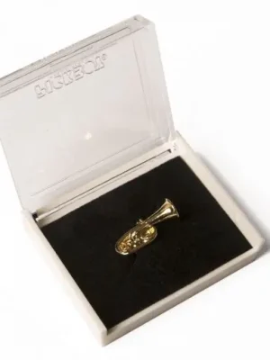 Odznak s jehlicí Odeslání Ihned